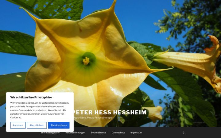 Screenshot of drpeterhess.de