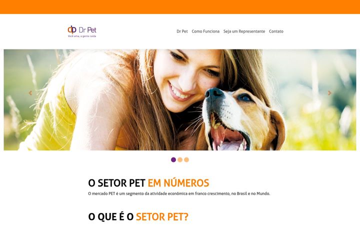 Skjermbilde av drpetvendadireta.com.br
