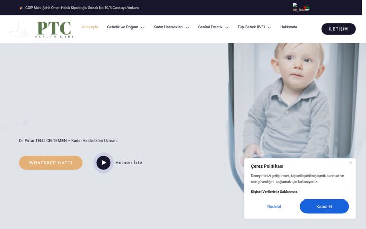 Screenshot of drpinartelliceltemen.com