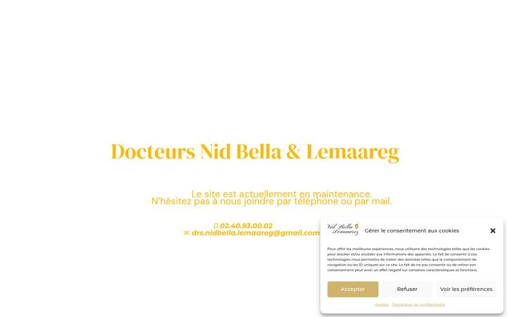 Screenshot ta' drs-nidbella-lemaareg-nantes.fr