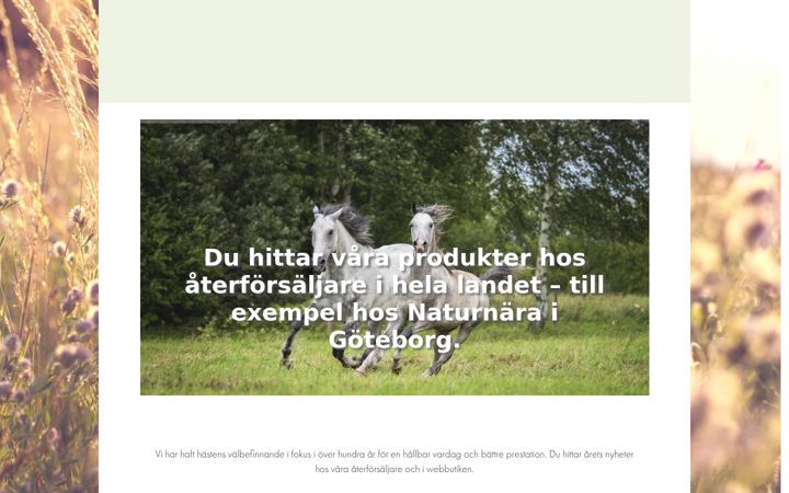 Ekrano kopija drschaette.se