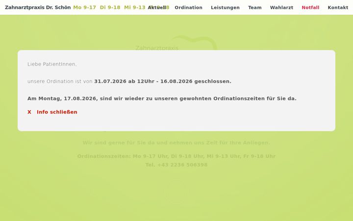 Zrzut ekranu drschoen.at