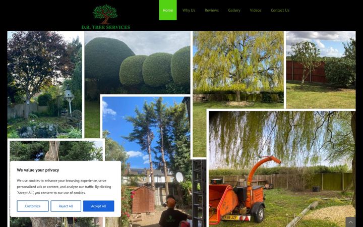 Snimka zaslona za drtreeservices.co.uk