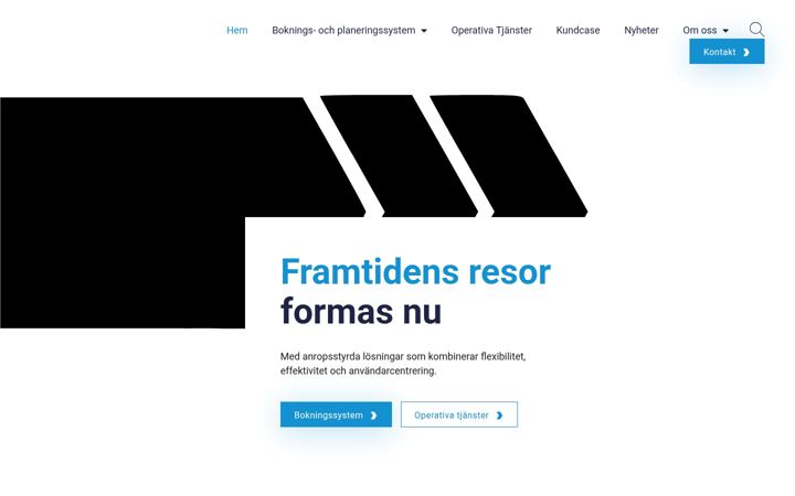 Zrzut ekranu drtsolutions.eu