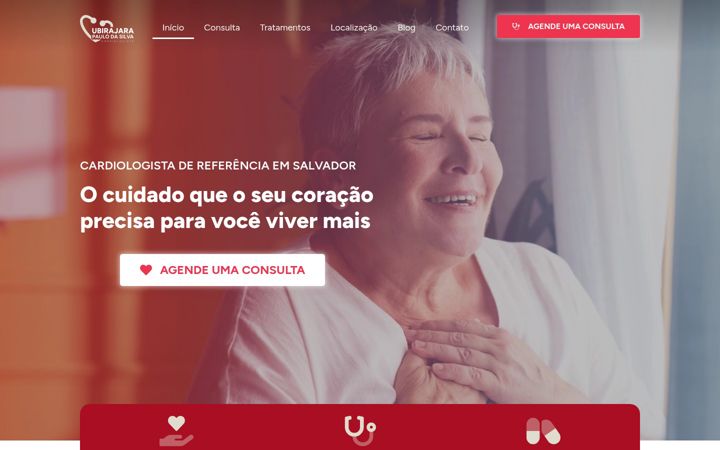 Snímek obrazovky drubirajara.com.br