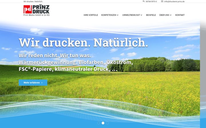 Screenshot of druckerei-prinz.de