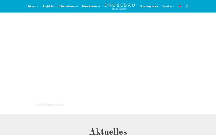 Snimka zaslona za druesedau.de
