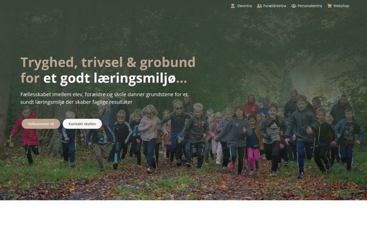 Snimka zaslona za druestrupfriskole.dk