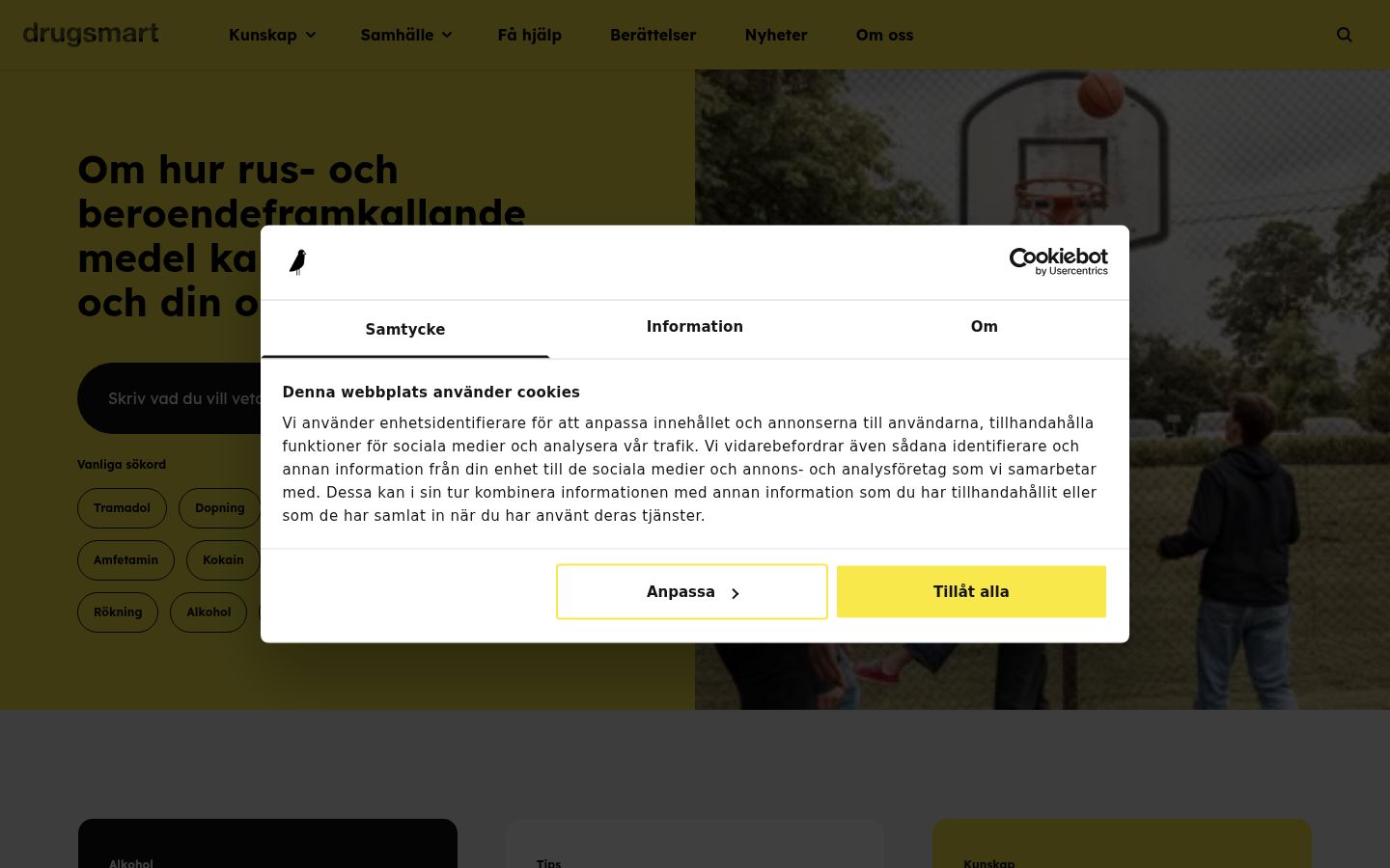 Sutikimo reklamjuostės, rodytos prieš bet kokią sąveiką, ekrano kopija