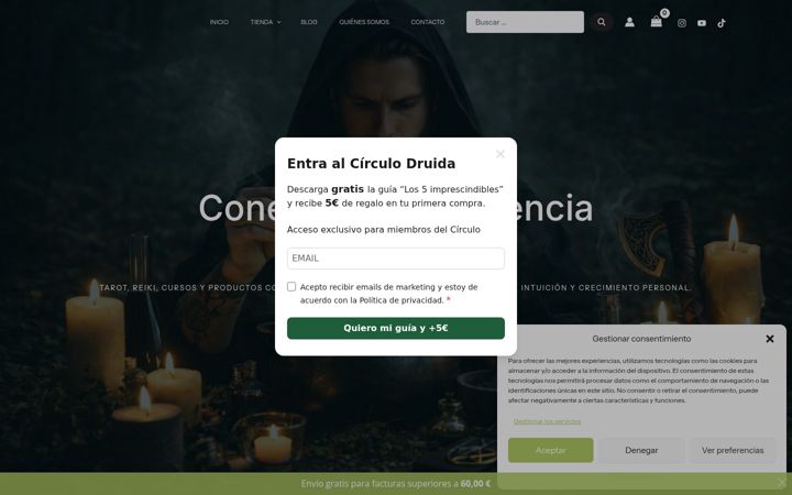 Zrzut ekranu druidadeciudad.es