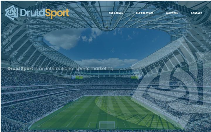 Screenshot of druidsport.com