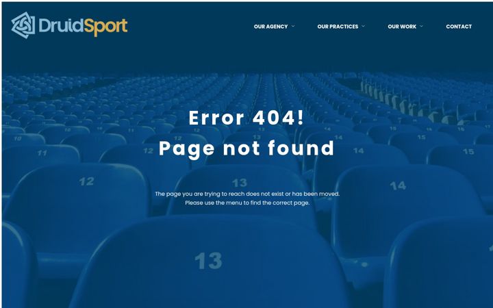 druidsports.com