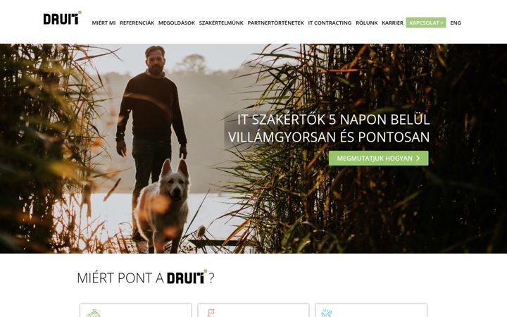 Képernyőkép: druit.hu