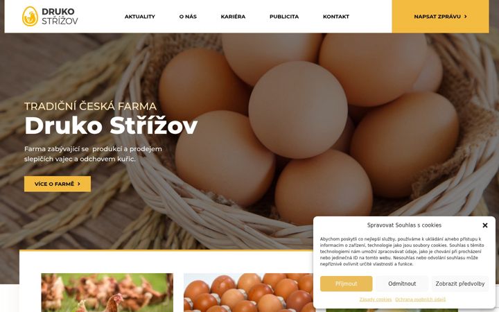 Snímek obrazovky drukostrizov.cz