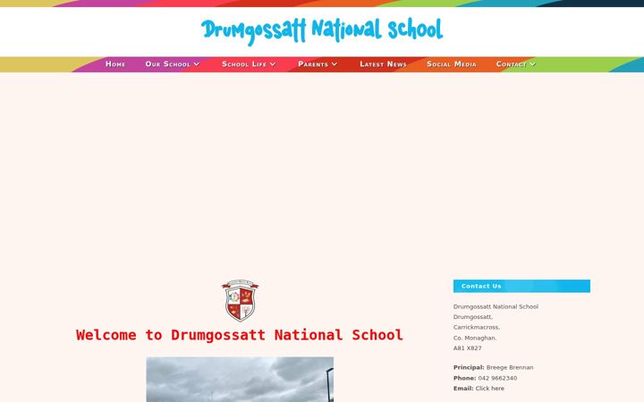 Snímek obrazovky drumgossattns.ie