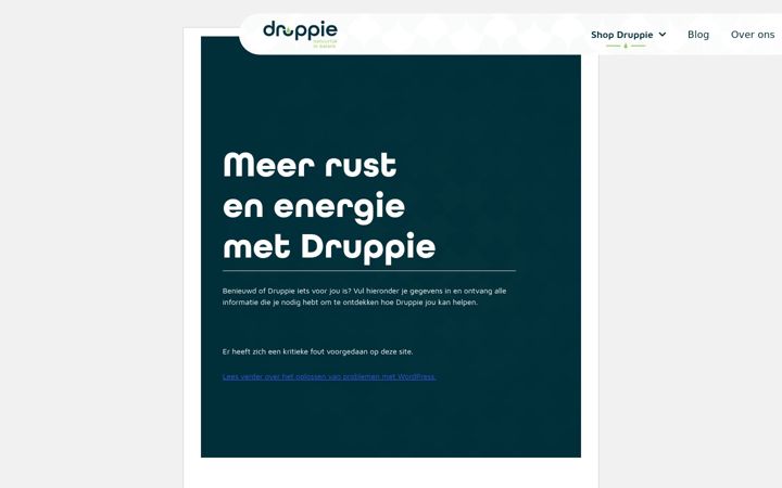 Screenshot di druppie.nl