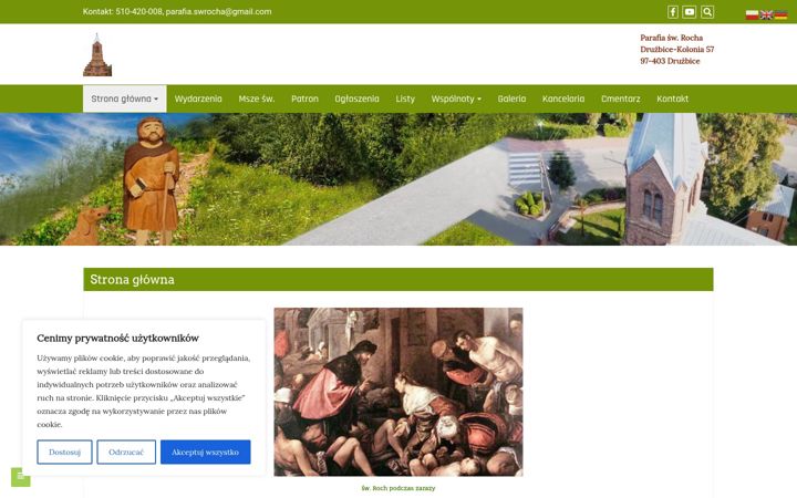 Posnetek zaslona druzbiceparafia.pl