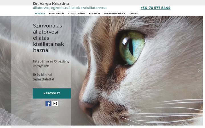 Skjámynd af drvargakrisztina.hu