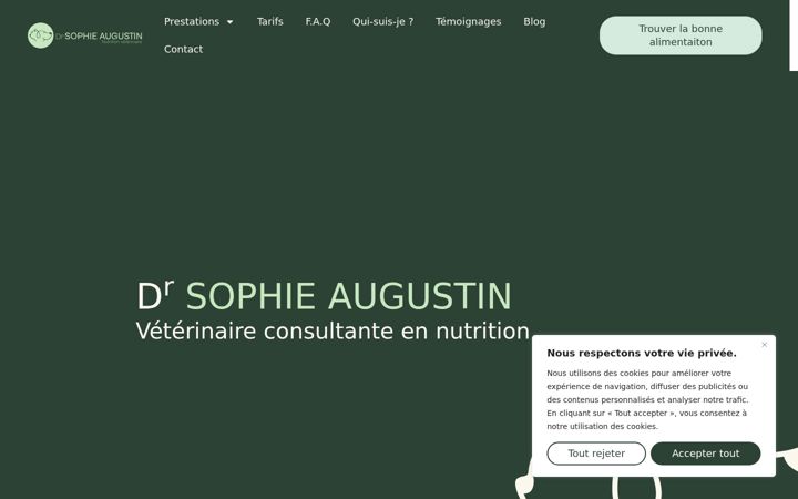 Screenshot of drvetaugustin.fr
