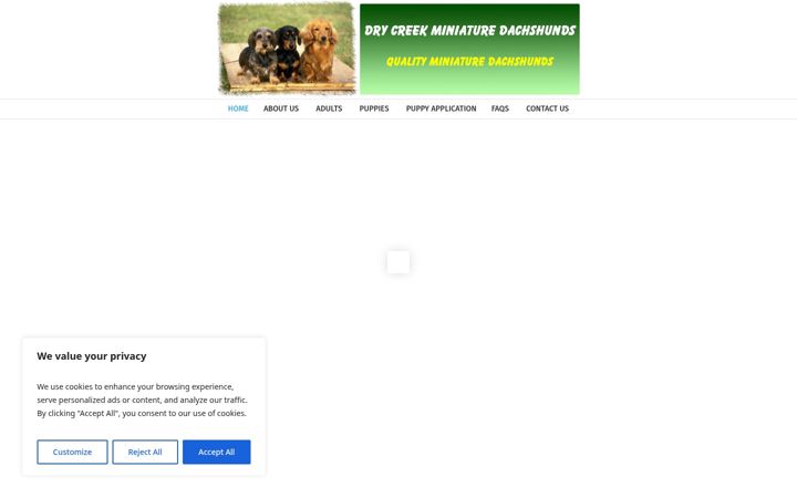 Screenshot of drycreekminidachshunds.com