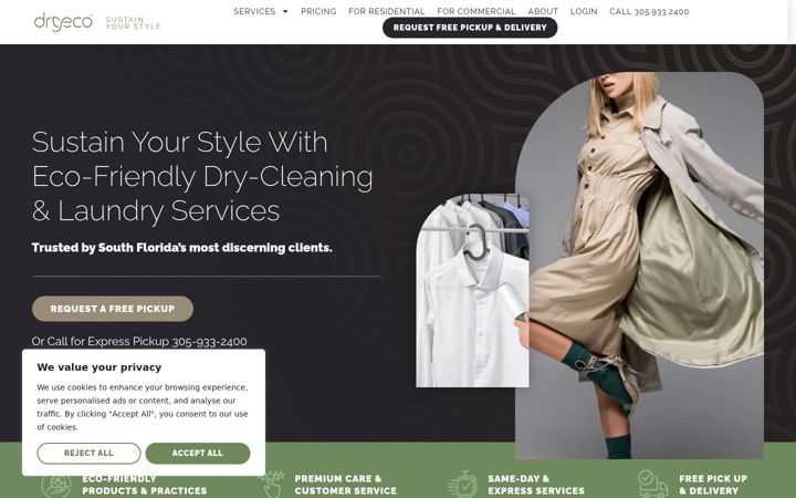 Screenshot of dryeco.com