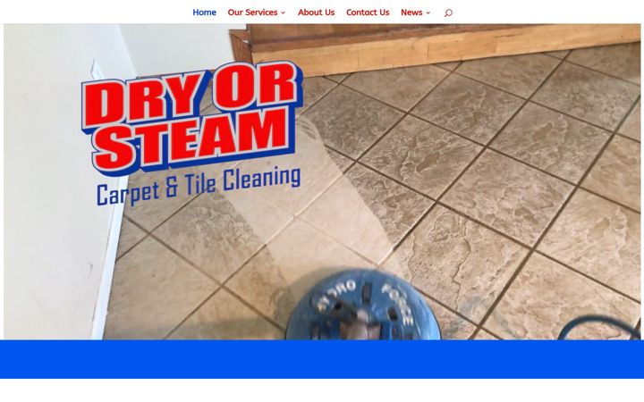 Screenshot of dryorsteam.com