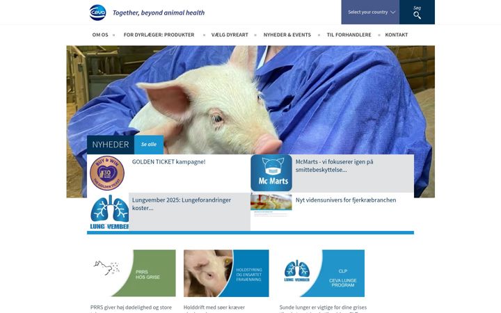 Screenshot of dryyourbest.com