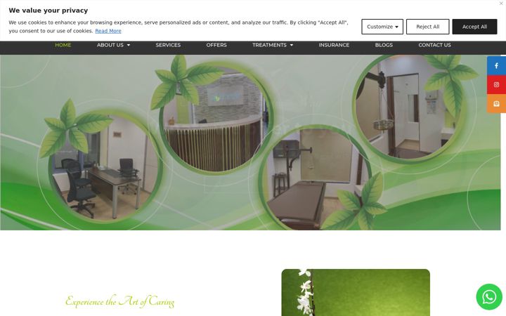 Screenshot of drzainebayurveda.com