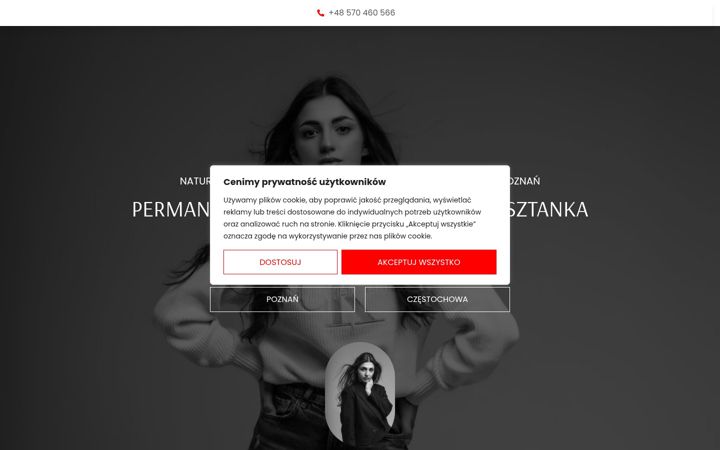 Captura de ecrã de ds-atelier.pl