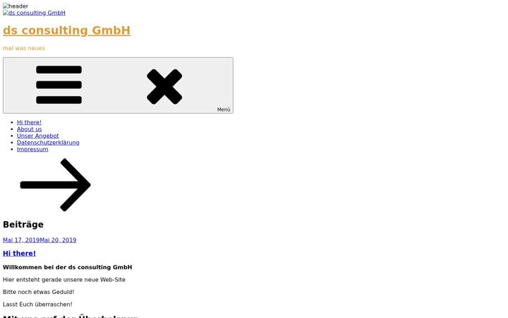 Screenshot of ds-consulting-group.com