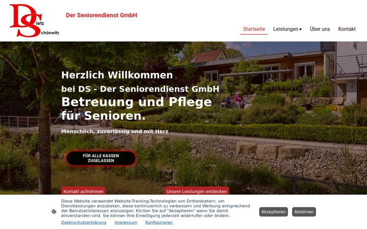 Screenshot of ds-der-seniorendienst.de