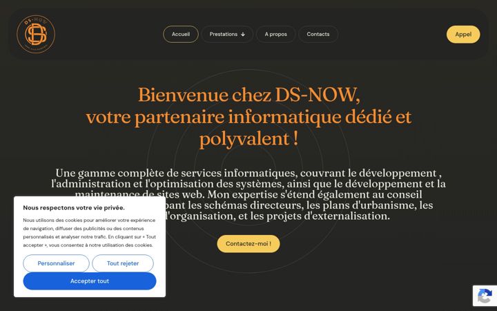 Screenshot of ds-now.fr