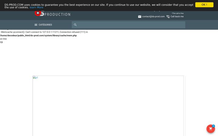 Screenshot of ds-prod.com