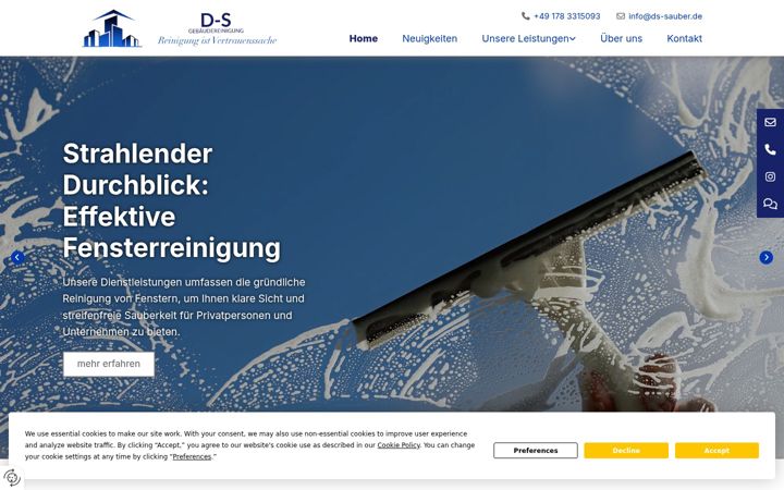 Screenshot of ds-sauber.de