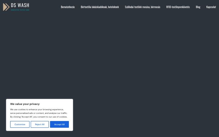 Screenshot of ds-wash.com