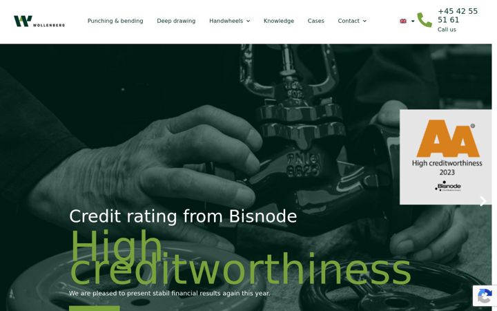 Screenshot of ds-wollenberg.com