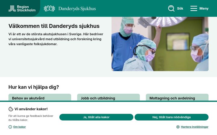 Ekrano kopija ds.se