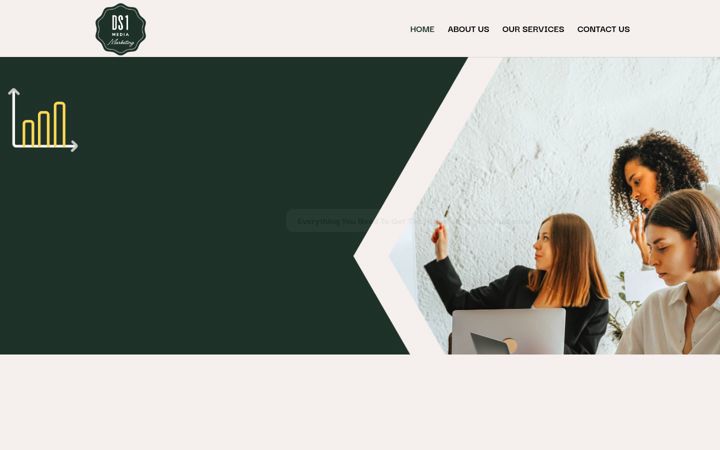 Screenshot of ds1media.com