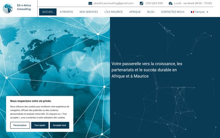 Screenshot of ds4africa.com
