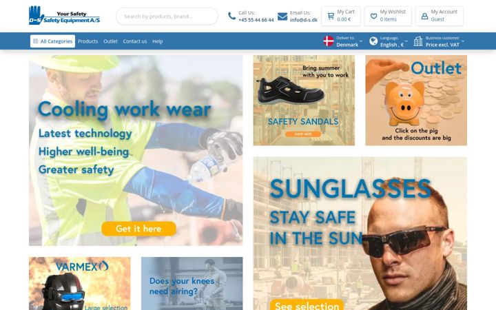 Screenshot of dsafety.com