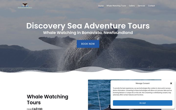 Screenshot of dsatours.com