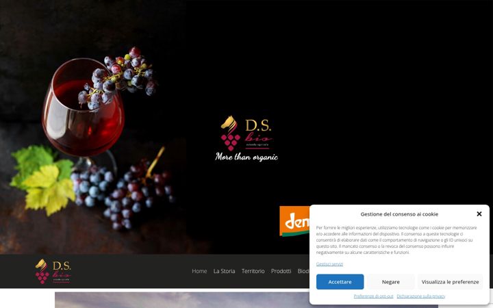 Screenshot of dsbiodinamica.com