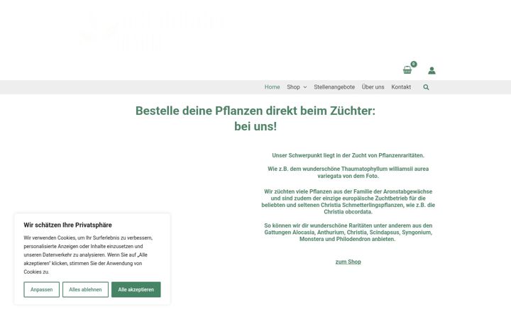 Screenshot of dschungelraum.de