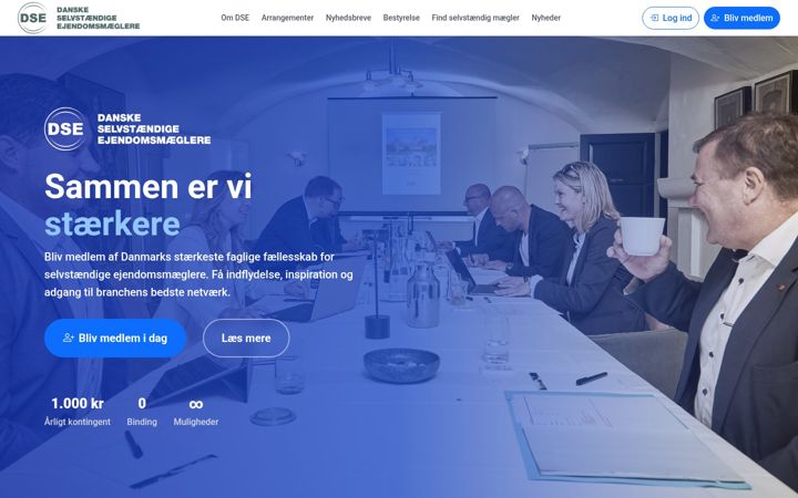 Snimka zaslona za dsemaegler.dk