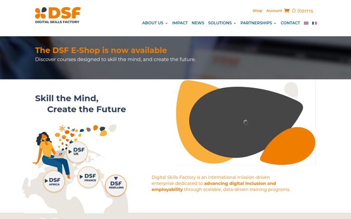 Screenshot of dsf.global
