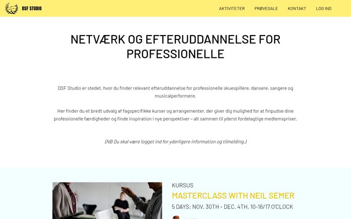 Snimka zaslona za dsfstudio.dk