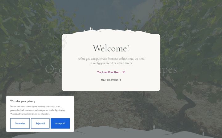 Screenshot of dsgabriel.com