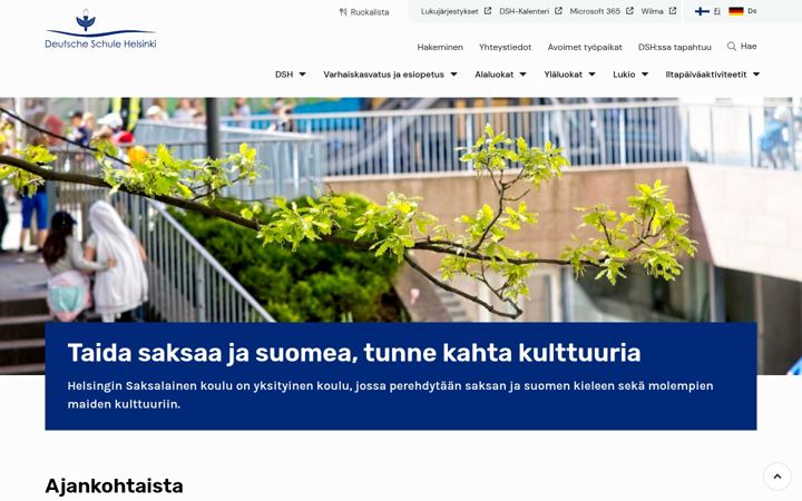 Screenshot di dsh.fi