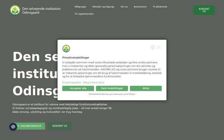 Snimka zaslona za dsiodinsgaard.dk