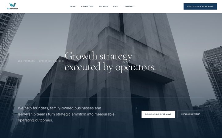 Screenshot of dsipartnersconsulting.com